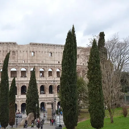 Il Pettirosso